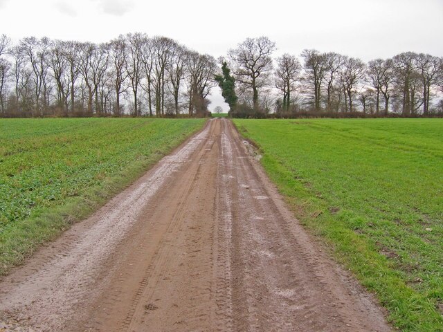 Photo "Wawne" by Stephen Horncastle (CC BY-SA) / Cropped from original