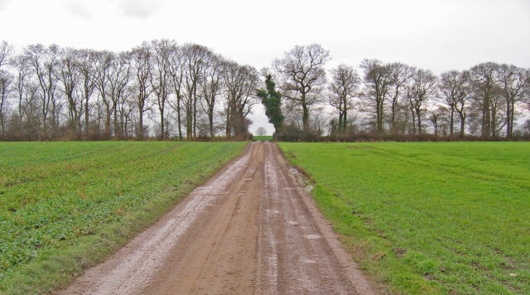 Photo "Wawne" by Stephen Horncastle (CC BY-SA) / Cropped from original