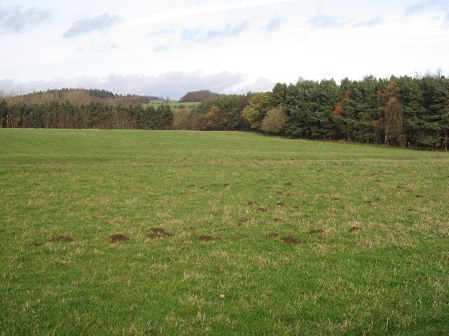 Photo "Garriston" by Roger Gilbertson (CC BY-SA) / Cropped from original