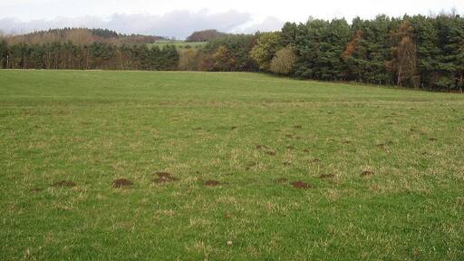 Photo "Garriston" by Roger Gilbertson (CC BY-SA) / Cropped from original