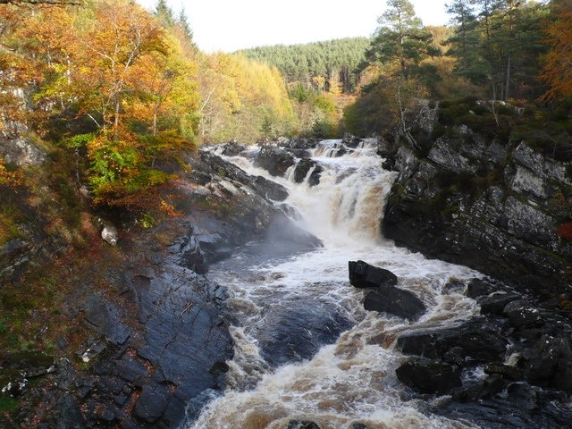 Rogie Falls Viewed from the footbridge over the Black Water.