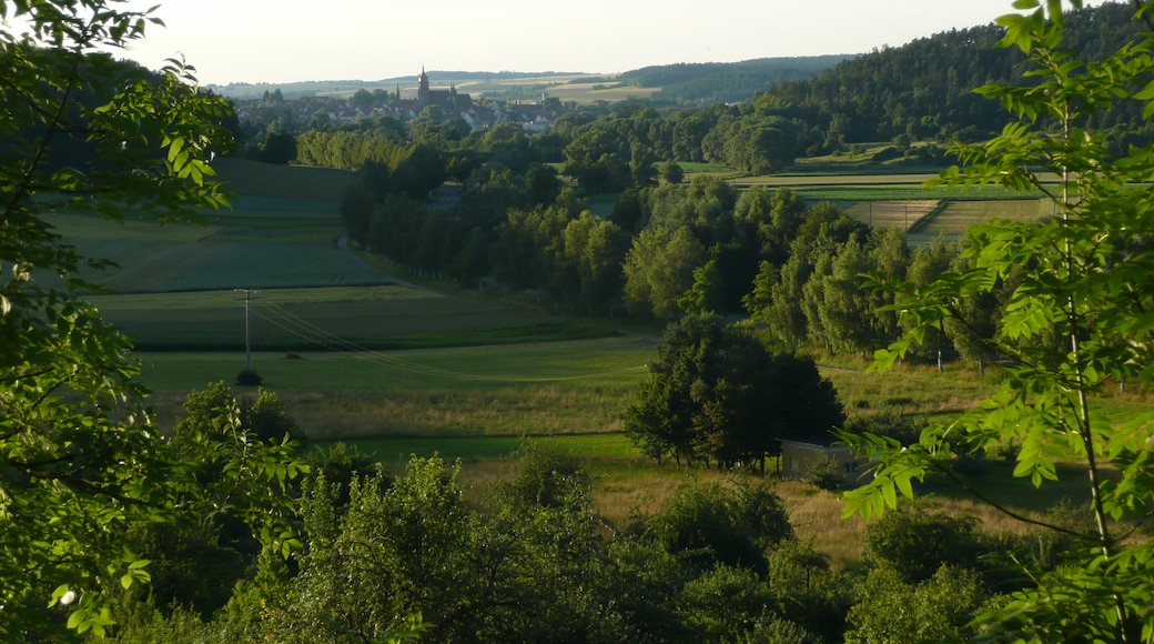 Photo "Schafhausen" by Qwesy (CC BY) / Cropped from original