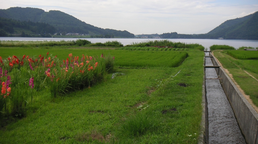 Foto "Lago Kizaki" di rinia (CC BY-SA) / Ritaglio dell’originale