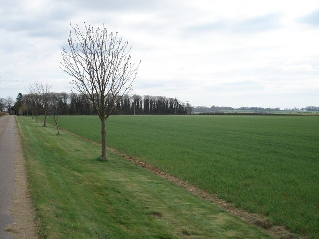 Foto „Nord Rauceby“ von Simon Mortimer (CC BY-SA)/zugeschnittenes Original