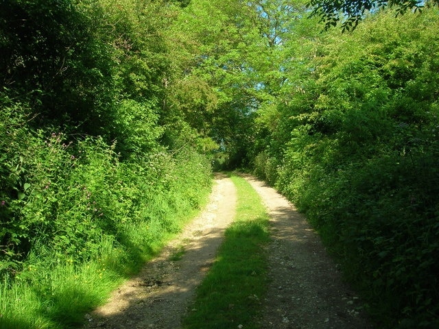 Track to Pilmoor Farm