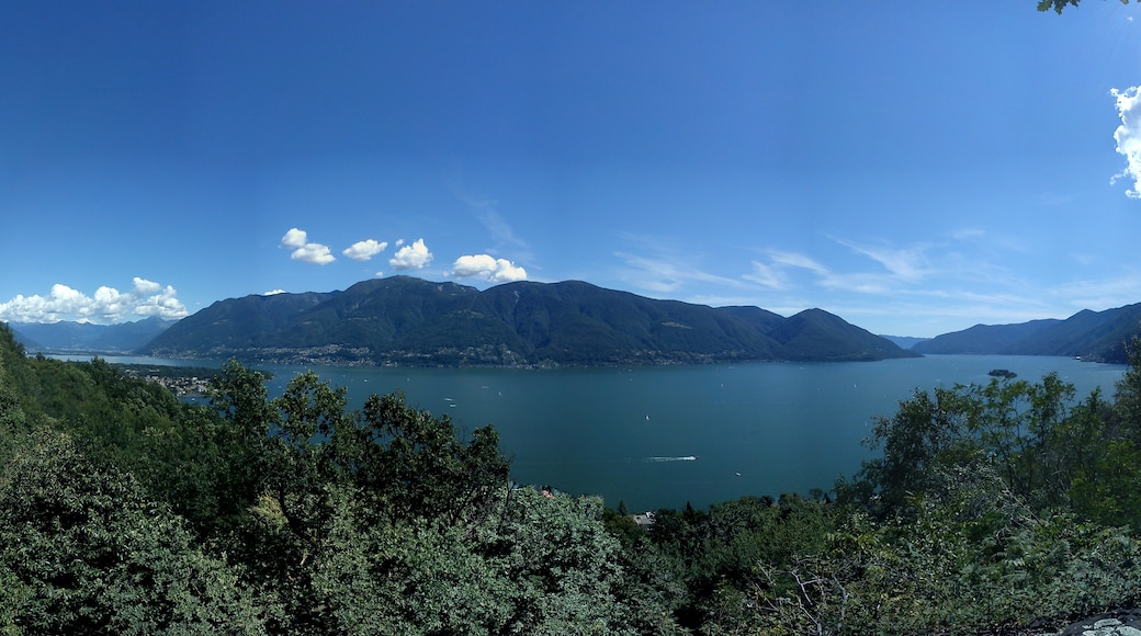 Bildet «Ascona» tatt av tobiadig (CC BY-SA) / originalbilde beskjært