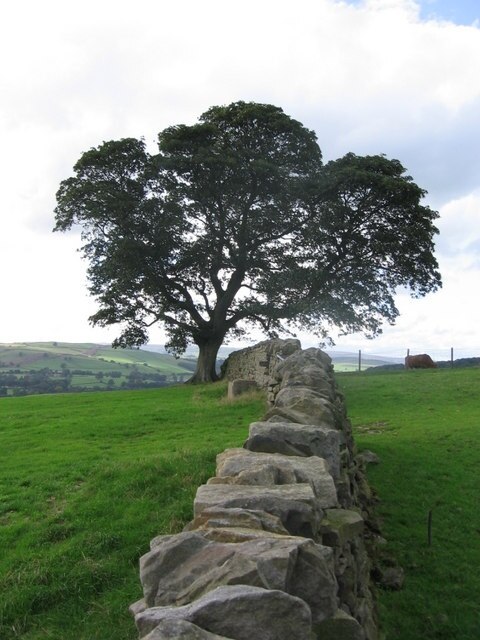 "Nesfield med Langbar"-foto av Clare Smith (CC BY-SA) / Urklipp från original