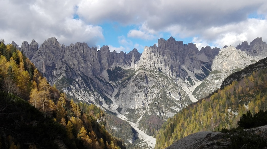 Kuva ”Parco Naturale delle Dolomiti Friulanen luonnonpuisto” käyttäjältä LuigiaClaudia (page does not exist) (CC BY-SA) / rajattu alkuperäisestä kuvasta