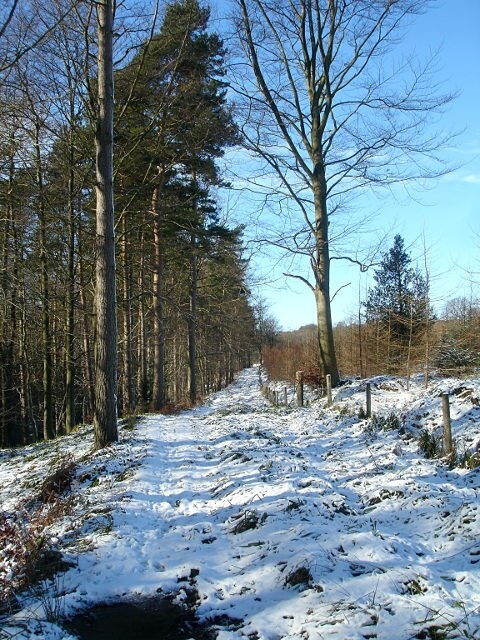 Photo "Langleydale and Shotton" by Andy Waddington (CC BY-SA) / Cropped from original