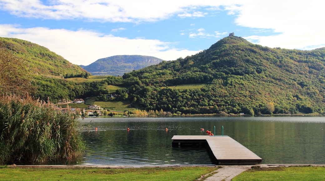 Foto "Campi al Lago" por Schorle (CC BY-SA) / Recortada de la original