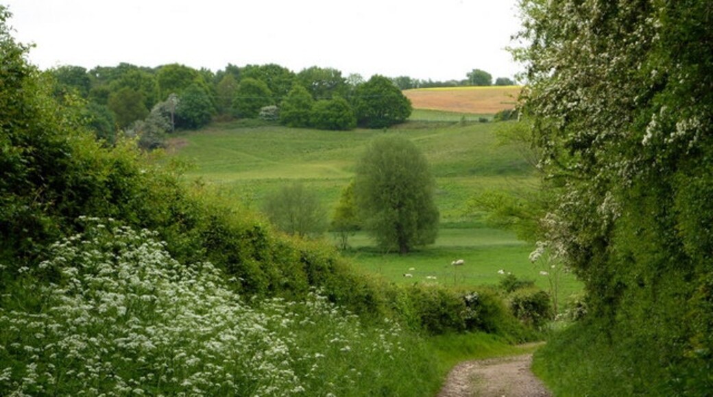 Photo "Tuddenham St Martin" by Andrew Hill (CC BY-SA) / Cropped from original