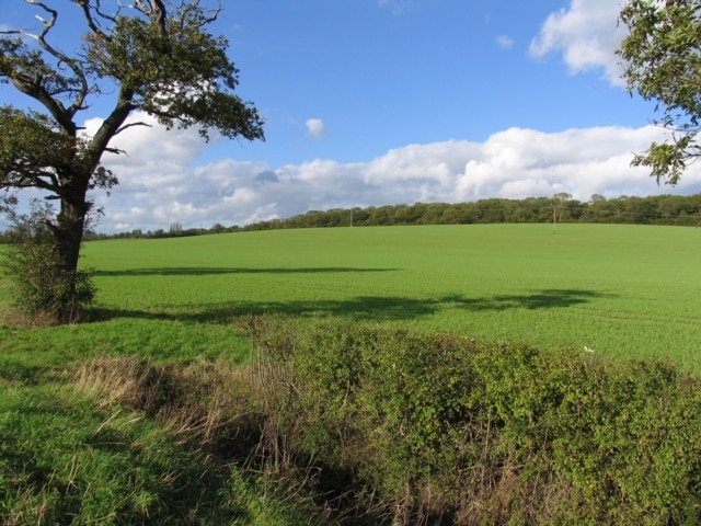 Agden Green Wood, near to Great Staughton, Cambridgeshire, Great Britain.