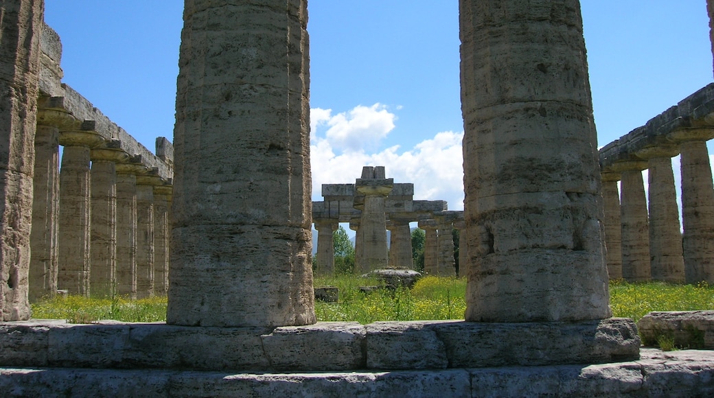 Foto "First Temple of Hera" di Mentnafunangann (CC BY-SA) / Ritaglio dell’originale