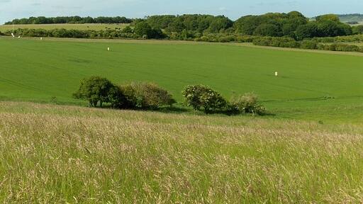 Foto “Milston” tomada por Andrew Smith (CC BY-SA); recorte de la original