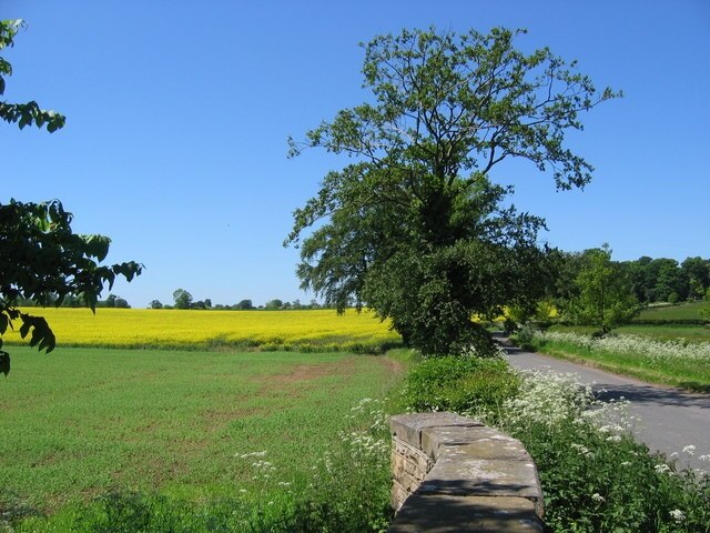 "Whitwell-on-the-Hill"-foto av Stephen Horncastle (CC BY-SA) / Urklipp från original