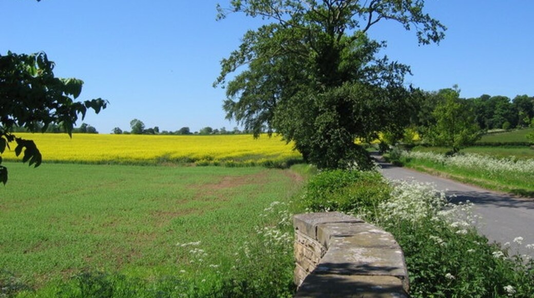 "Whitwell-on-the-Hill"-foto av Stephen Horncastle (CC BY-SA) / Urklipp från original