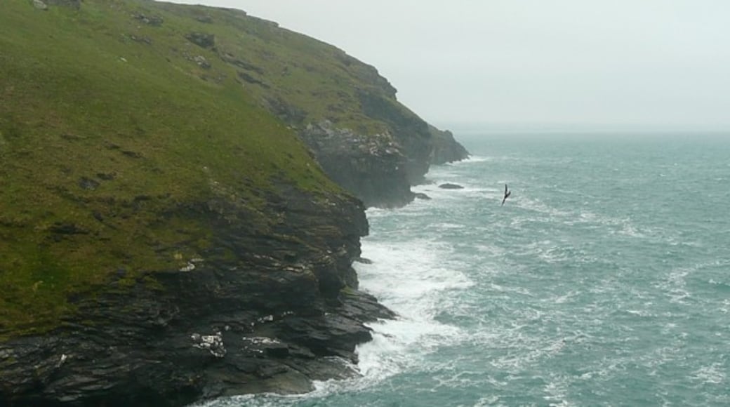 Photo "Tintagel Beach" by Humphrey Bolton (CC BY-SA) / Cropped from original