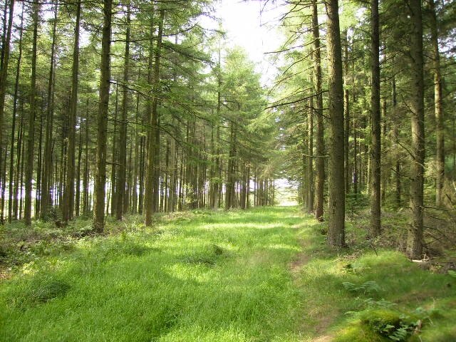 Kuva ”Newton” käyttäjältä Phil Catterall (CC BY-SA) / rajattu alkuperäisestä kuvasta