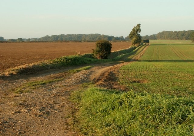 Photo "Buckland" by Robert Edwards (CC BY-SA) / Cropped from original