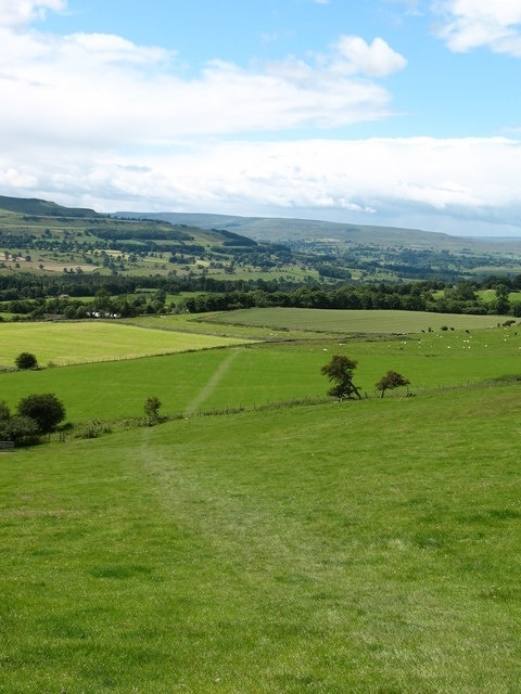 Photo "Wensley" by Gordon Hatton (CC BY-SA) / Cropped from original