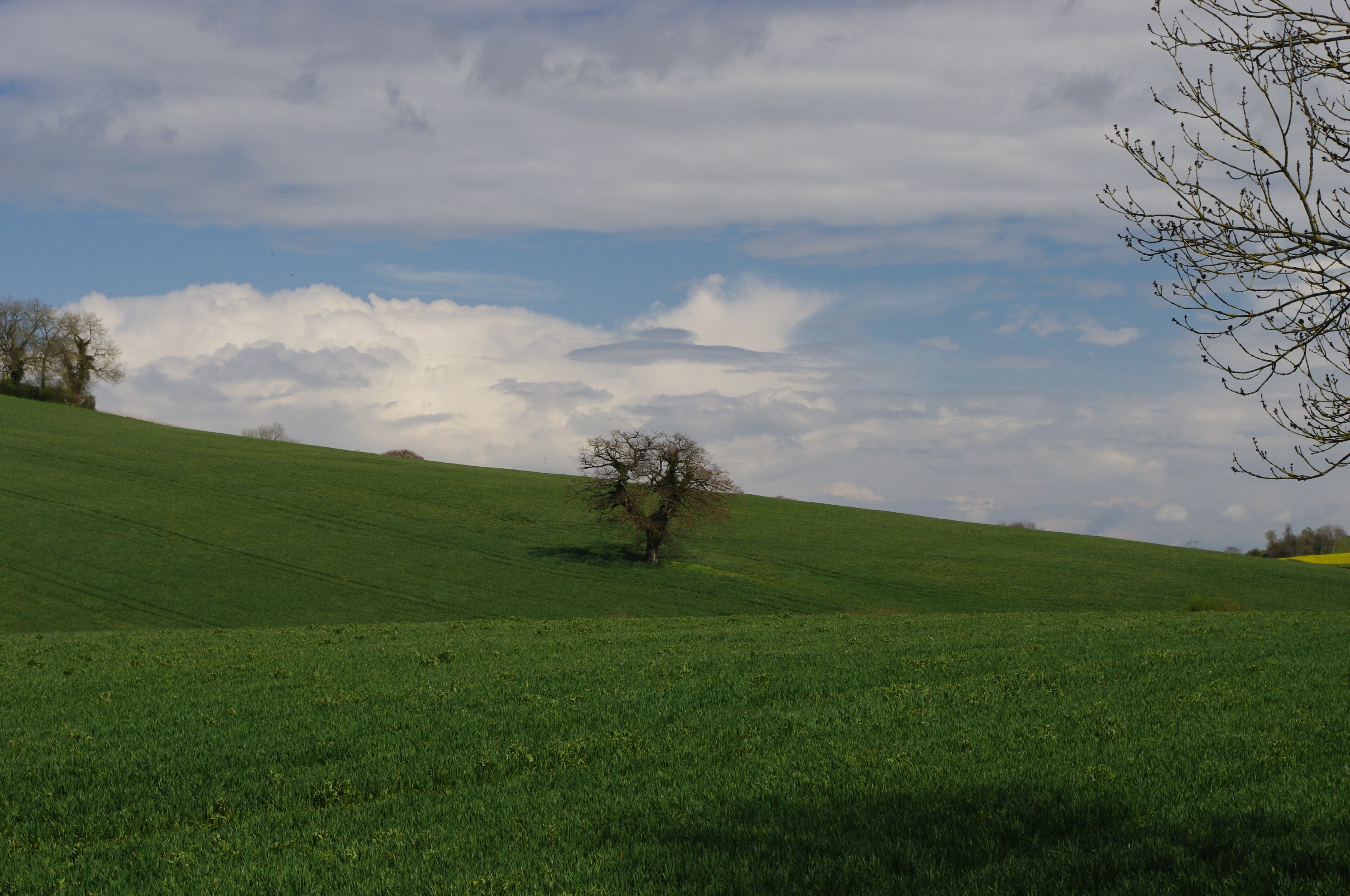 Photo "Shoscombe" by Artur Kozioł (CC BY-SA) / Cropped from original