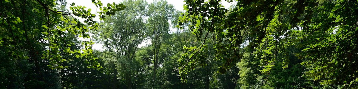 Photo "Fußballplatz in Sophiental (Wendeburg)" by Hydro (Creative Commons Attribution-Share Alike 4.0) / Cropped from original