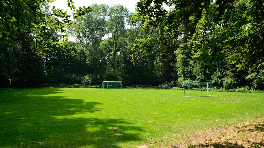Photo "Fußballplatz in Sophiental (Wendeburg)" by Hydro (Creative Commons Attribution-Share Alike 4.0) / Cropped from original