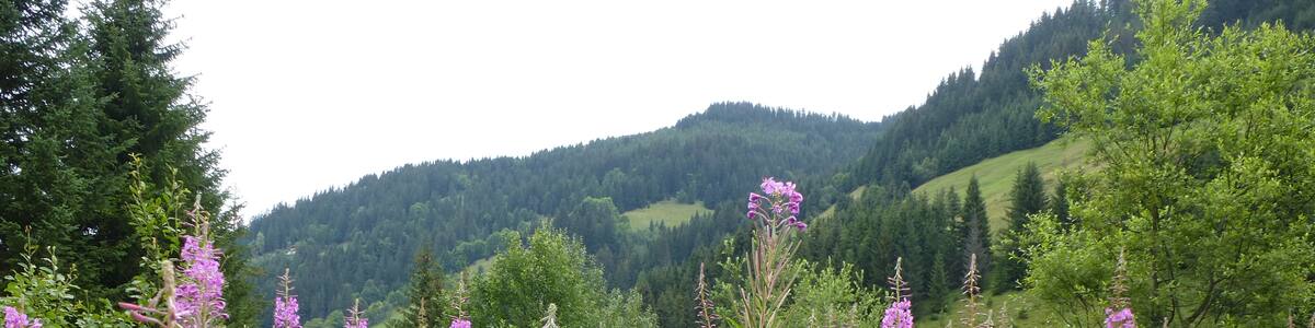 Photo "notre dame de bellecombe" by chisloup (Creative Commons Attribution 3.0) / Cropped from original