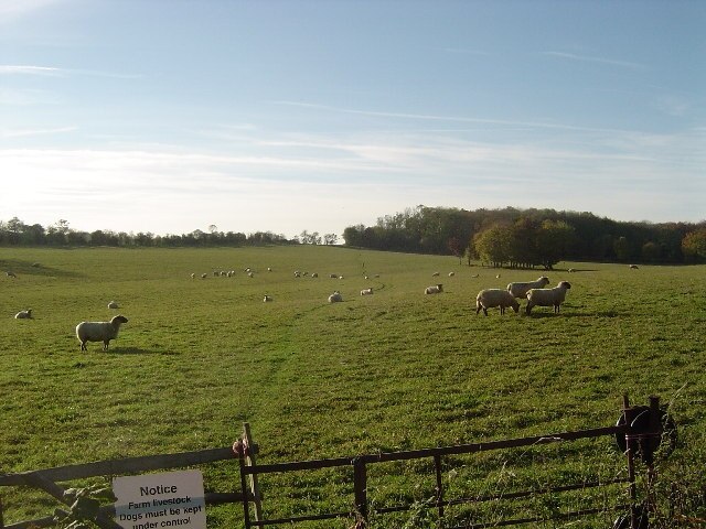 "Furneux Pelham"-foto av Nigel Cox (CC BY-SA) / Urklipp från original