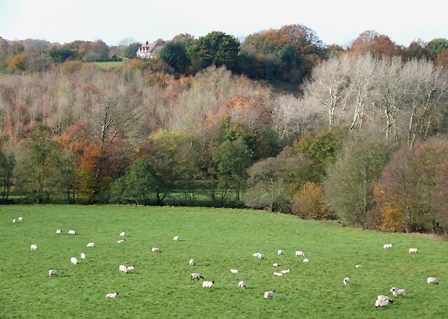 Kuva ”Neen Savage” käyttäjältä Roger Kidd (CC BY-SA) / rajattu alkuperäisestä kuvasta