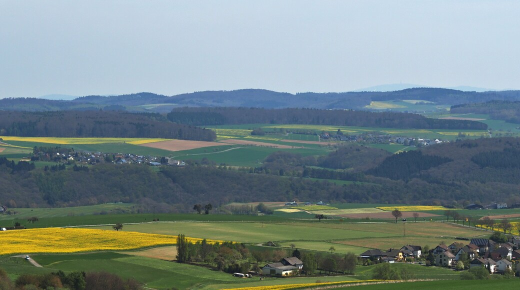 Foto "Dachsenhausen" di Kreuzschnabel (CC BY-SA) / Ritaglio dell’originale