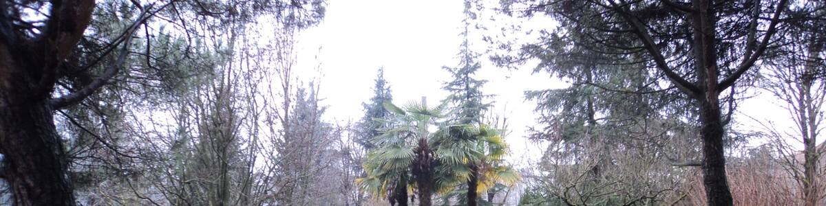 Photo "Parco Monfortani" by Gio la Gamb (Creative Commons Attribution-Share Alike 3.0) / Cropped from original
