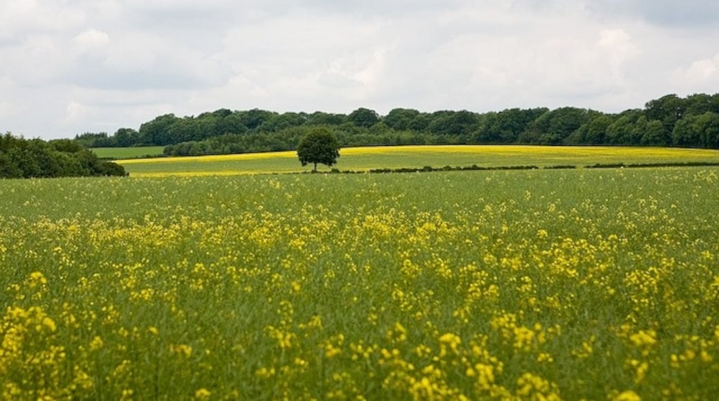 Photo "Littleton" by Peter Facey (CC BY-SA) / Cropped from original