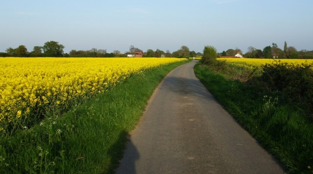 Foto „Mundham“ von Ashley Dace (CC BY-SA)/zugeschnittenes Original