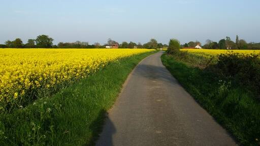 Foto „Mundham“ von Ashley Dace (CC BY-SA)/zugeschnittenes Original