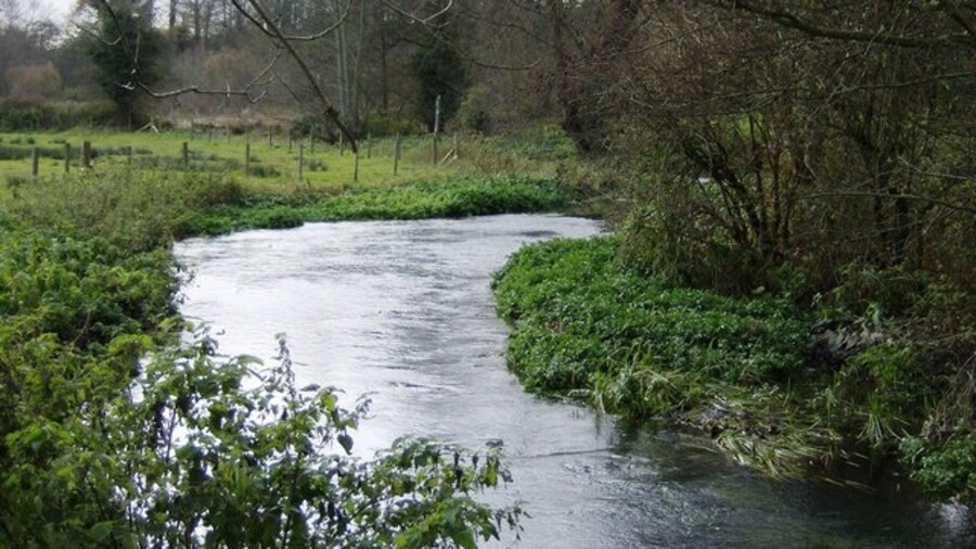 Photo "River Wey near Froyle The river is flowing from Alton. The terminus is only about three miles upstream but already this is a significant river, shallow but fast-flowing." by Graham Horn (Creative Commons Attribution-Share Alike 2.0) / Cropped from original