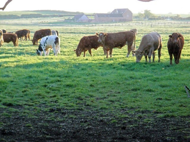 Billede "Pebworth" af David Luther Thomas (CC BY-SA) / beskåret fra det originale billede