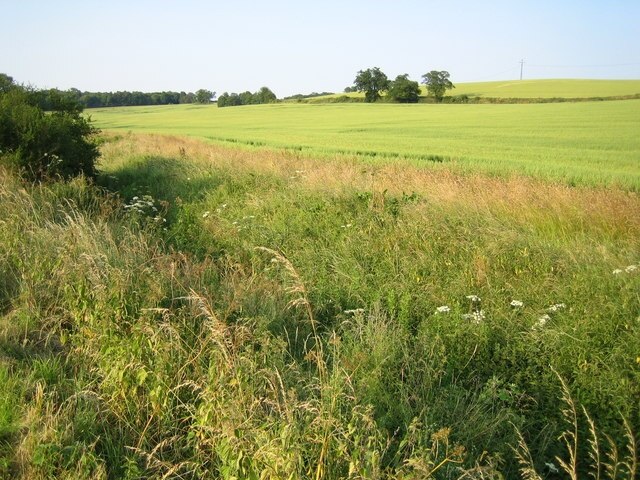 Kuva ”Pieni Munden” käyttäjältä Nigel Cox (CC BY-SA) / rajattu alkuperäisestä kuvasta