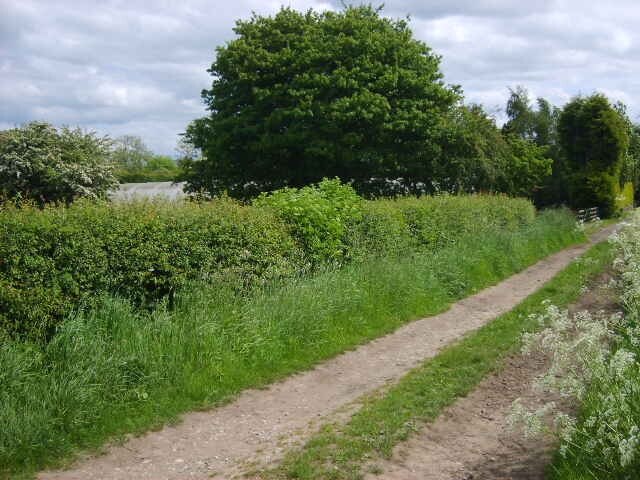 Photo "Gate Helmsley" by William Metcalfe (CC BY-SA) / Cropped from original