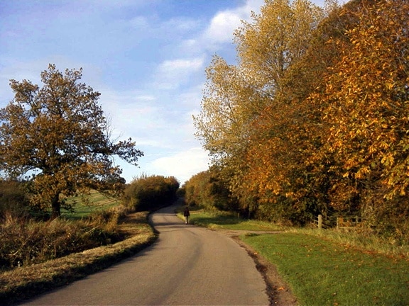 Autumn colours frame the climb up to Chrishall village View north on Hollow Rd, Chrishall at the entrance to New Farm. (The highest point in Essex is within the parish boundary).