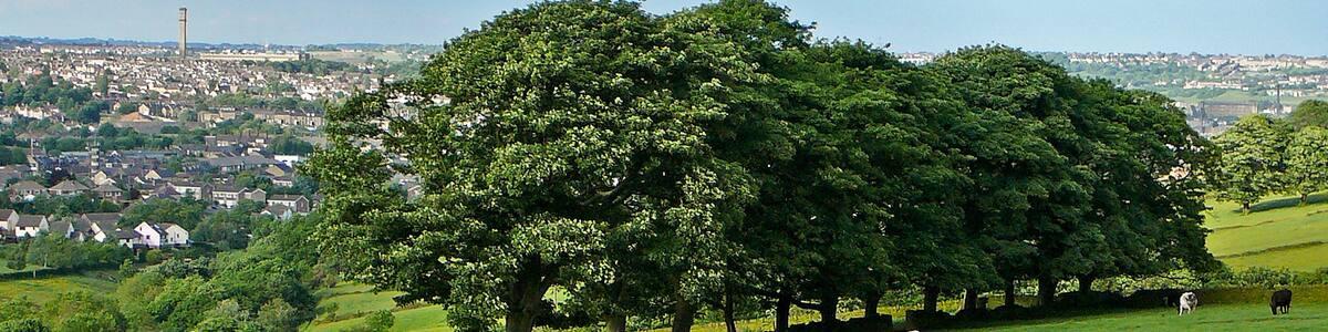 Photo "View from Clayton Town End" by Tim Green (Creative Commons Attribution 2.0) / Cropped from original