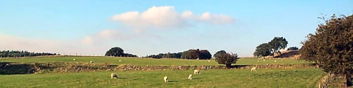Photo "Sheep in an awkward gridsquare. Sheep grazing west of Quarry House Farm, seen northwards from the footpath" by David Spencer (Creative Commons Attribution-Share Alike 2.0) / Cropped from original
