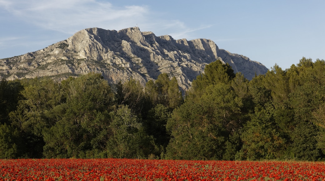ภาพ "เทือกเขา Montagne Sainte Victoire" โดย Ddeveze (CC BY-SA) / ตัดภาพจากขนาดต้นฉบับ