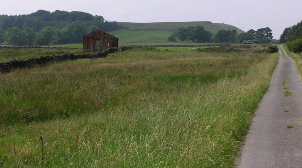 Photo "Dalton" by Hugh Mortimer (CC BY-SA) / Cropped from original