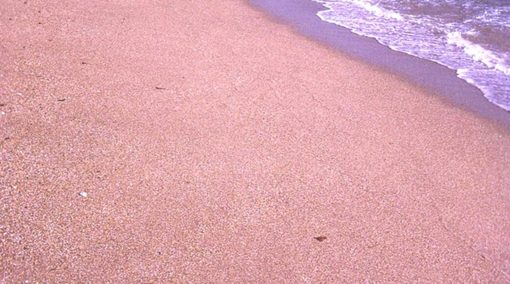 Trevor Rickard (CC BY-SA) 的「洛巴爾海灘」相片 / 裁剪自原有相片
