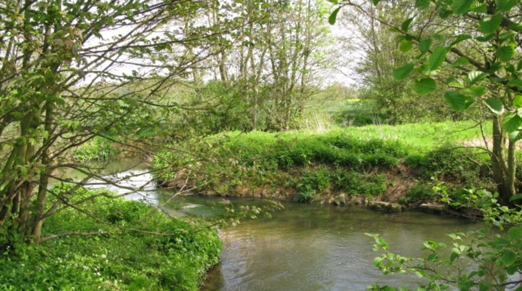 Photo "Hothfield" by Nick Smith (CC BY-SA) / Cropped from original