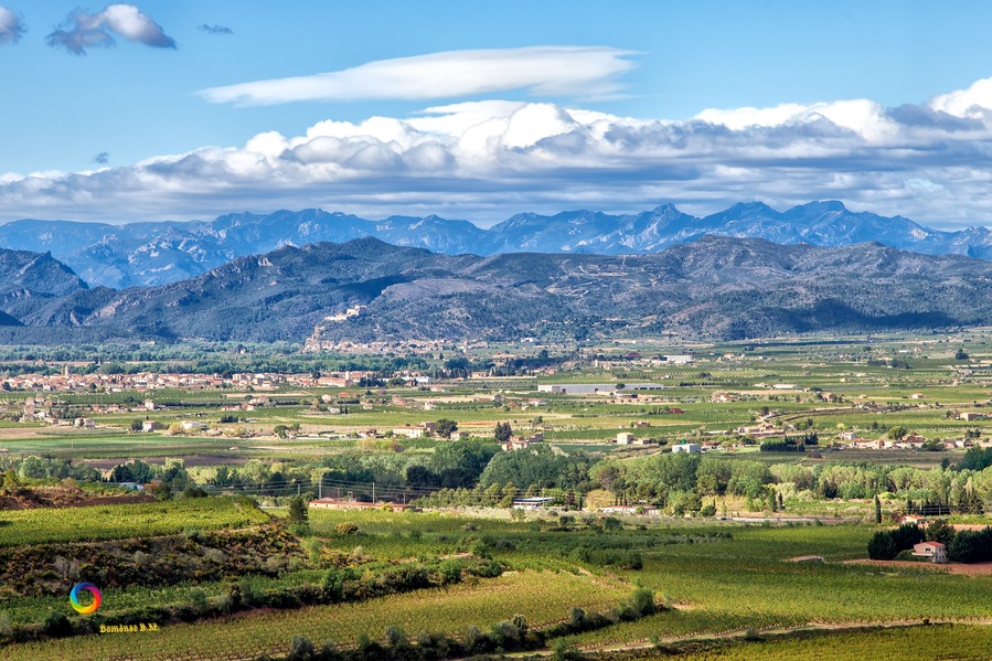 Castell templer de Miravet al fons, sobre el poble de Miravet. Vista panoràmica de la Ribera d'Ebre des de l'ermita de Sant Pau de Móra la Nova.