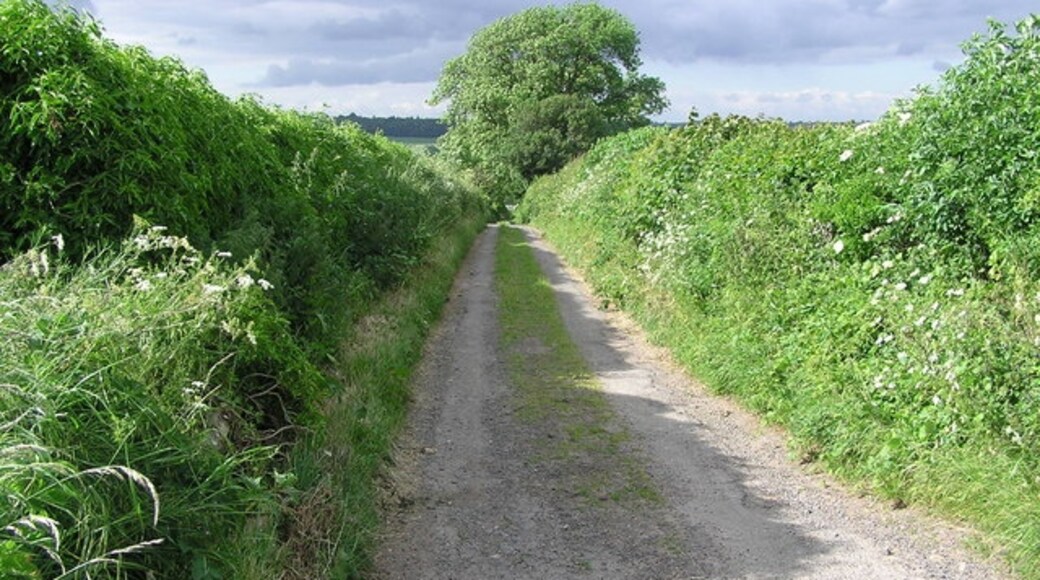 Photo "Barforth" by Hugh Mortimer (CC BY-SA) / Cropped from original