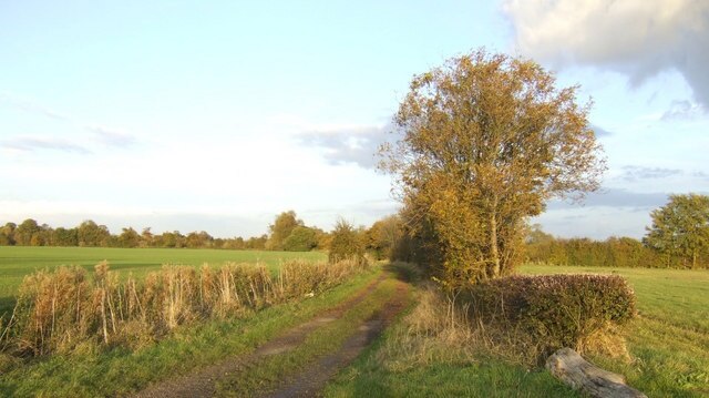 Foto “Great Gransden” tomada por Jonathan Billinger (CC BY-SA); recorte de la original