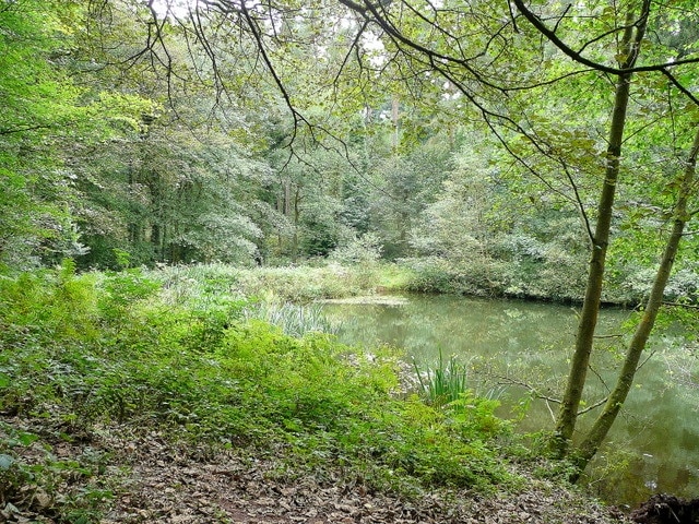 Photo "Ruspidge and Soudley" by Jonathan Billinger (CC BY-SA) / Cropped from original